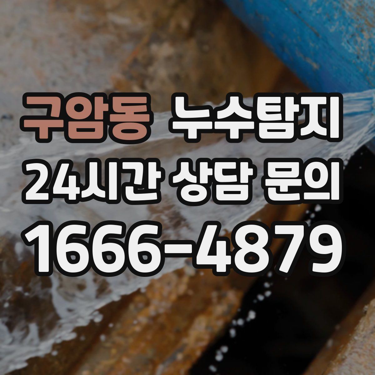 구암동 누수탐지 문제 해결을 위한 비용이 궁금하신가요