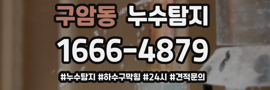 누수닥터 누수탐지