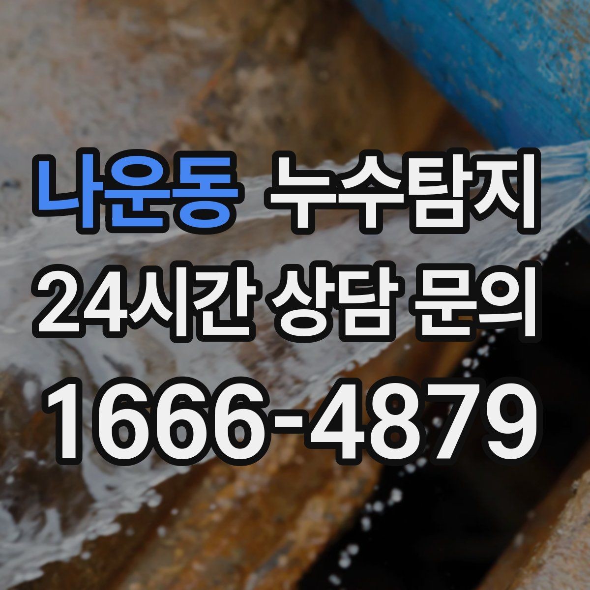 나운동 누수탐지 반려가정 배려 점검 후기