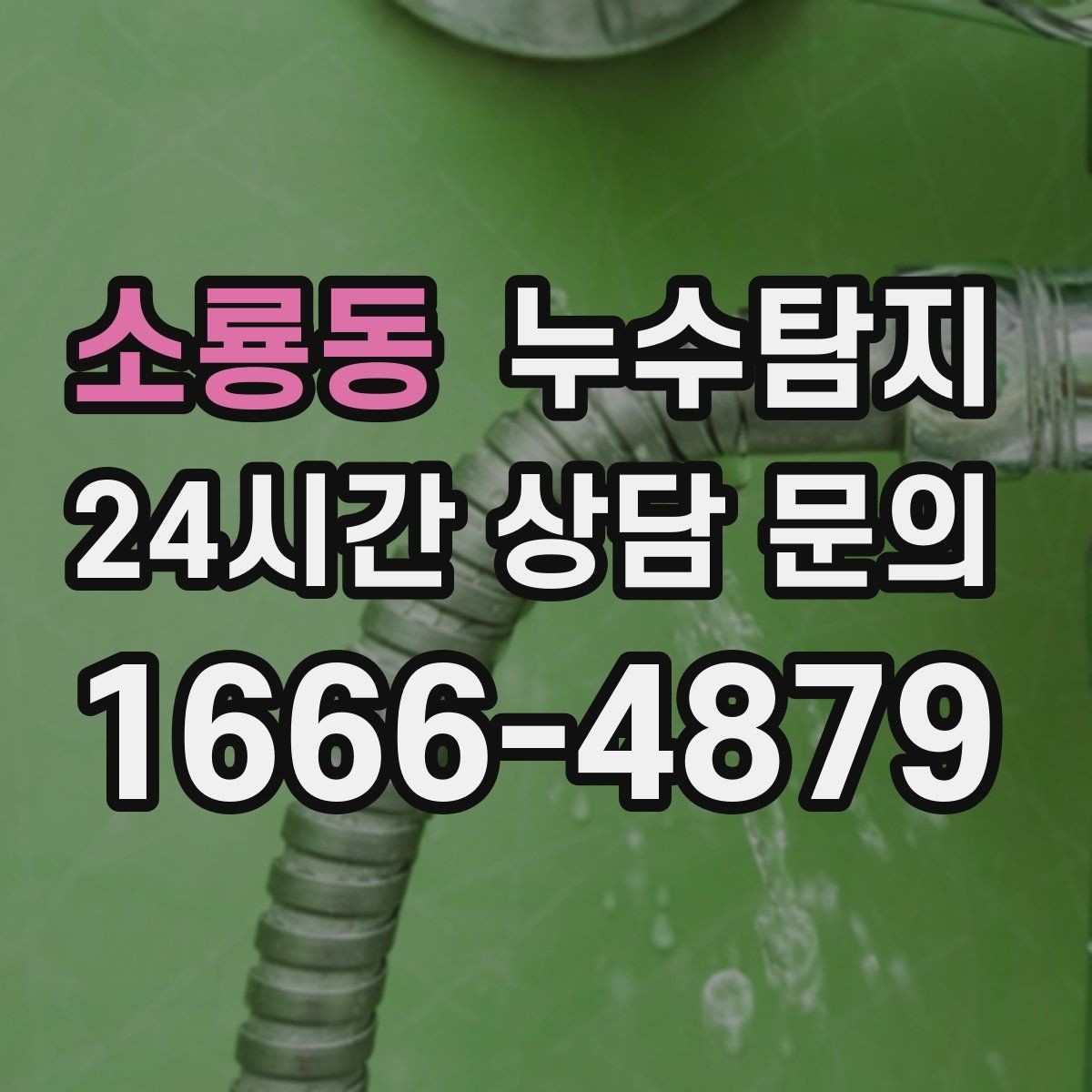 소룡동 누수탐지 욕실 곰팡이 사라진 변화 이야기