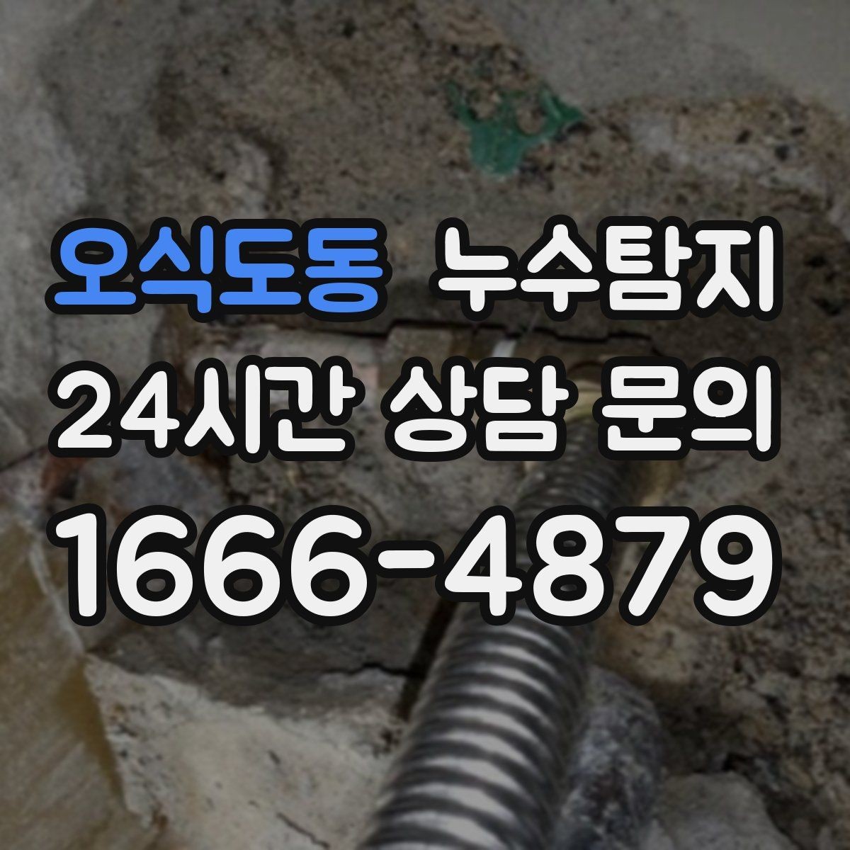 오식도동 누수탐지 줄눈 보수로 마무리한 후기