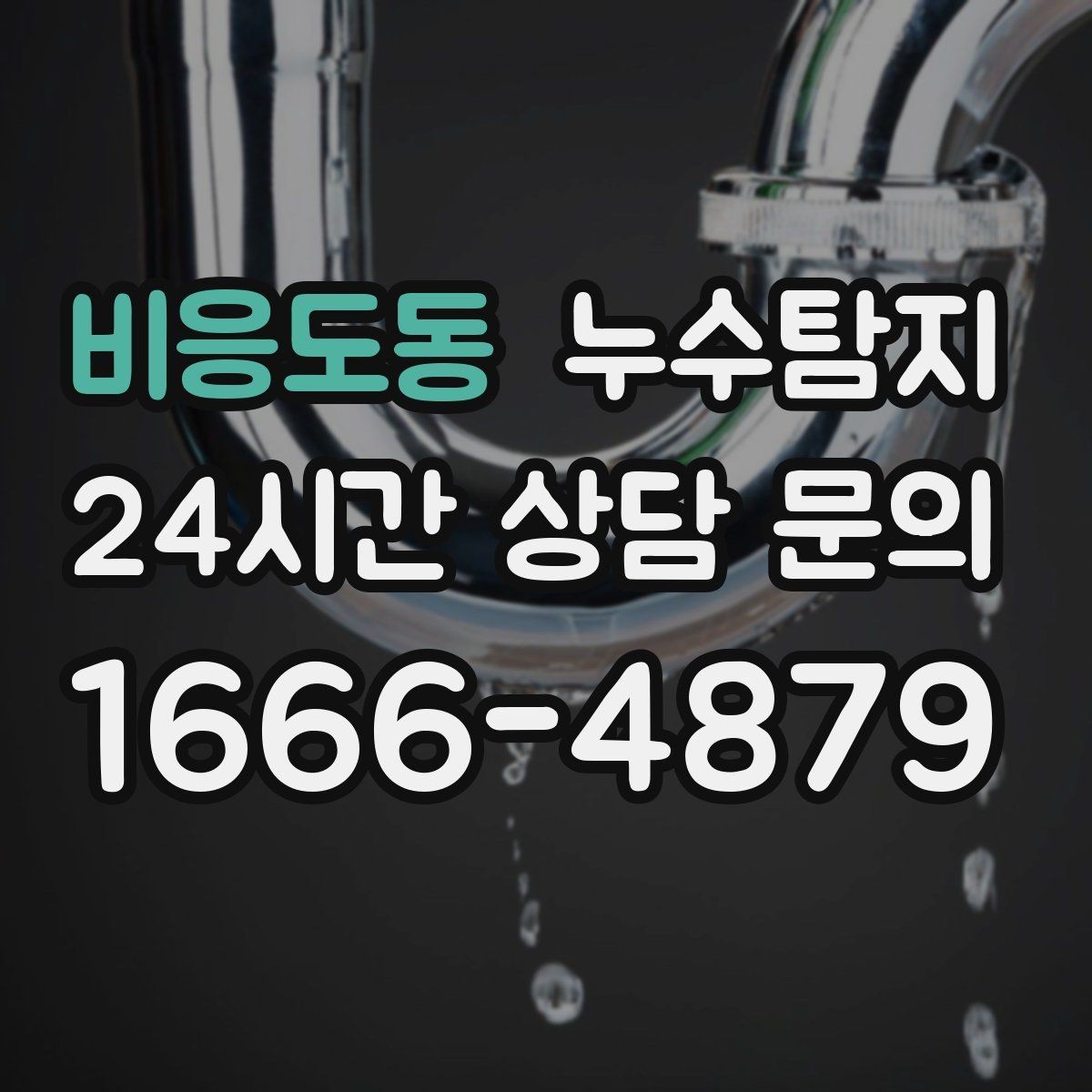 비응도동 누수탐지 집 안 공기질이 달라진 이유