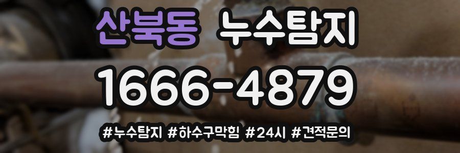 누수닥터 누수탐지