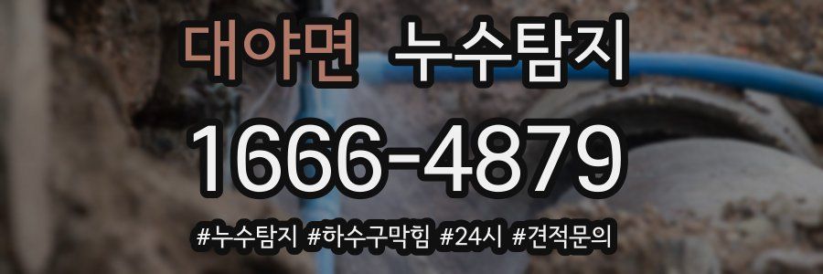 누수닥터 누수탐지