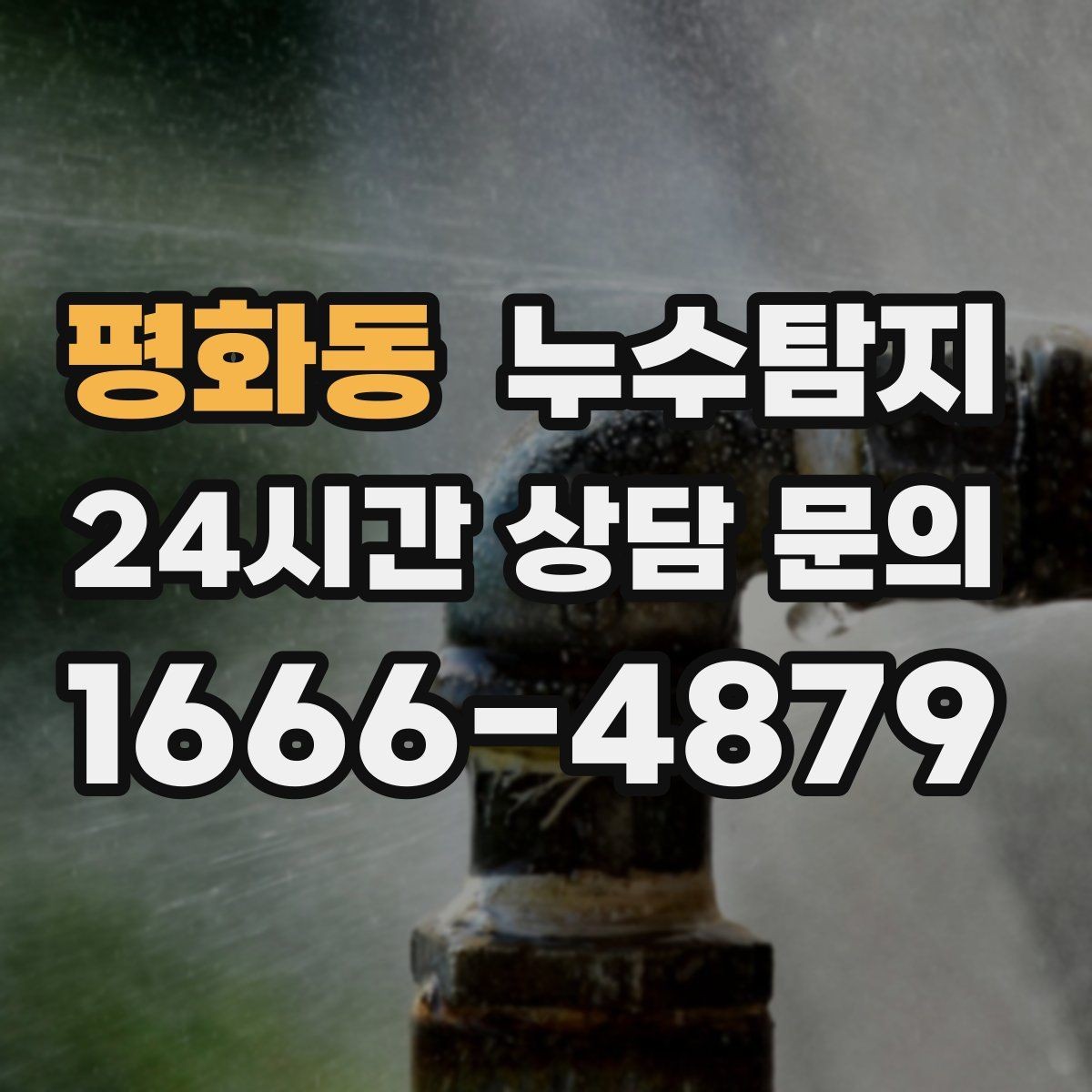 평화동 누수탐지 지하층 물고임 탈출기