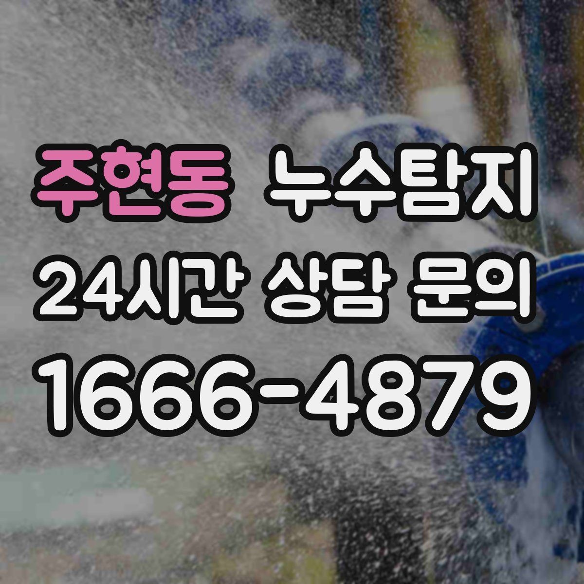 주현동 누수탐지 벽체 내부 소리로 찾은 단서