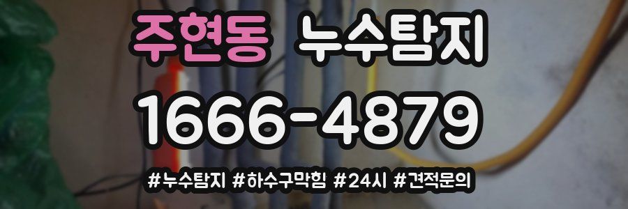 누수닥터 누수탐지