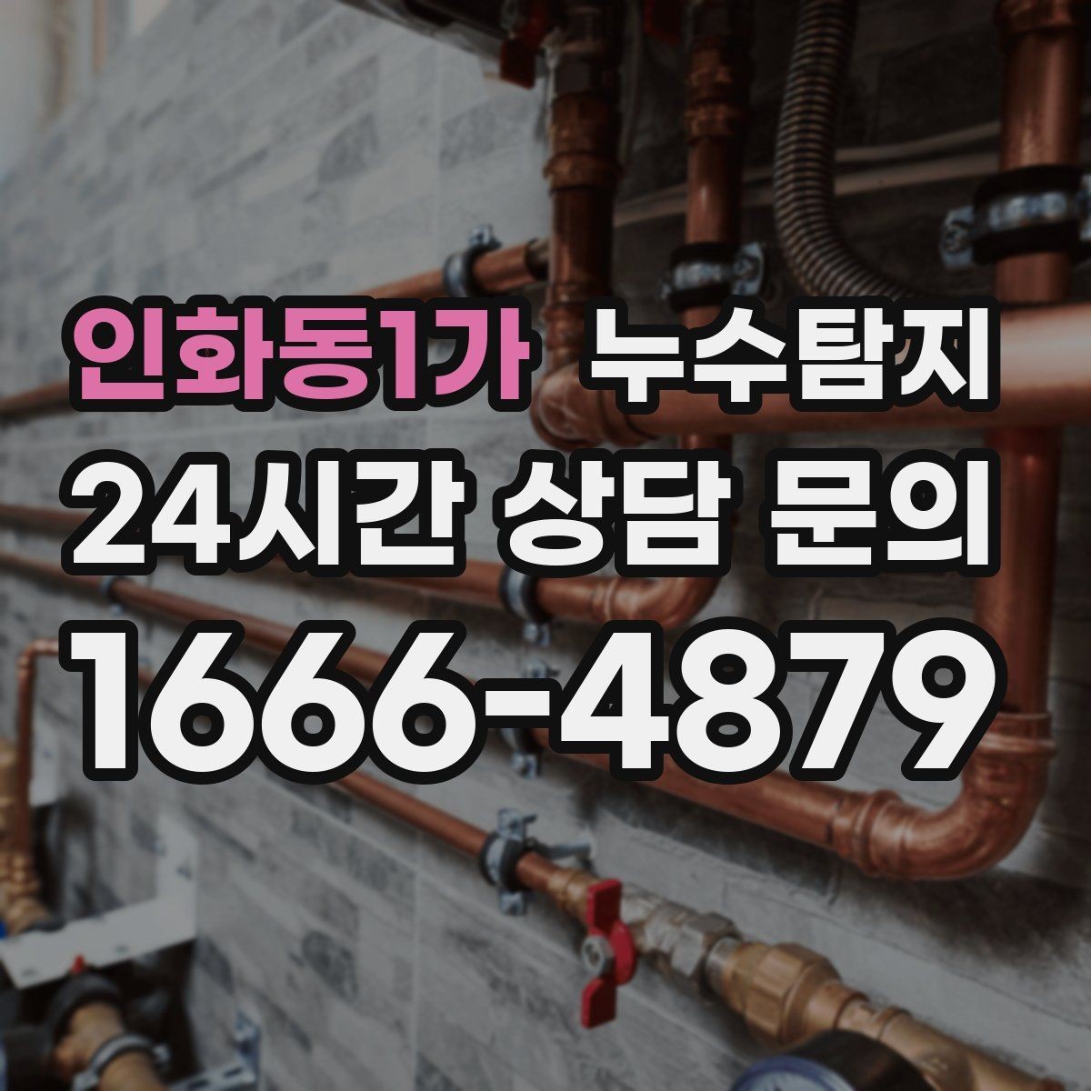 인화동1가 누수탐지 벽지 들뜸 빠른 진단 노하우