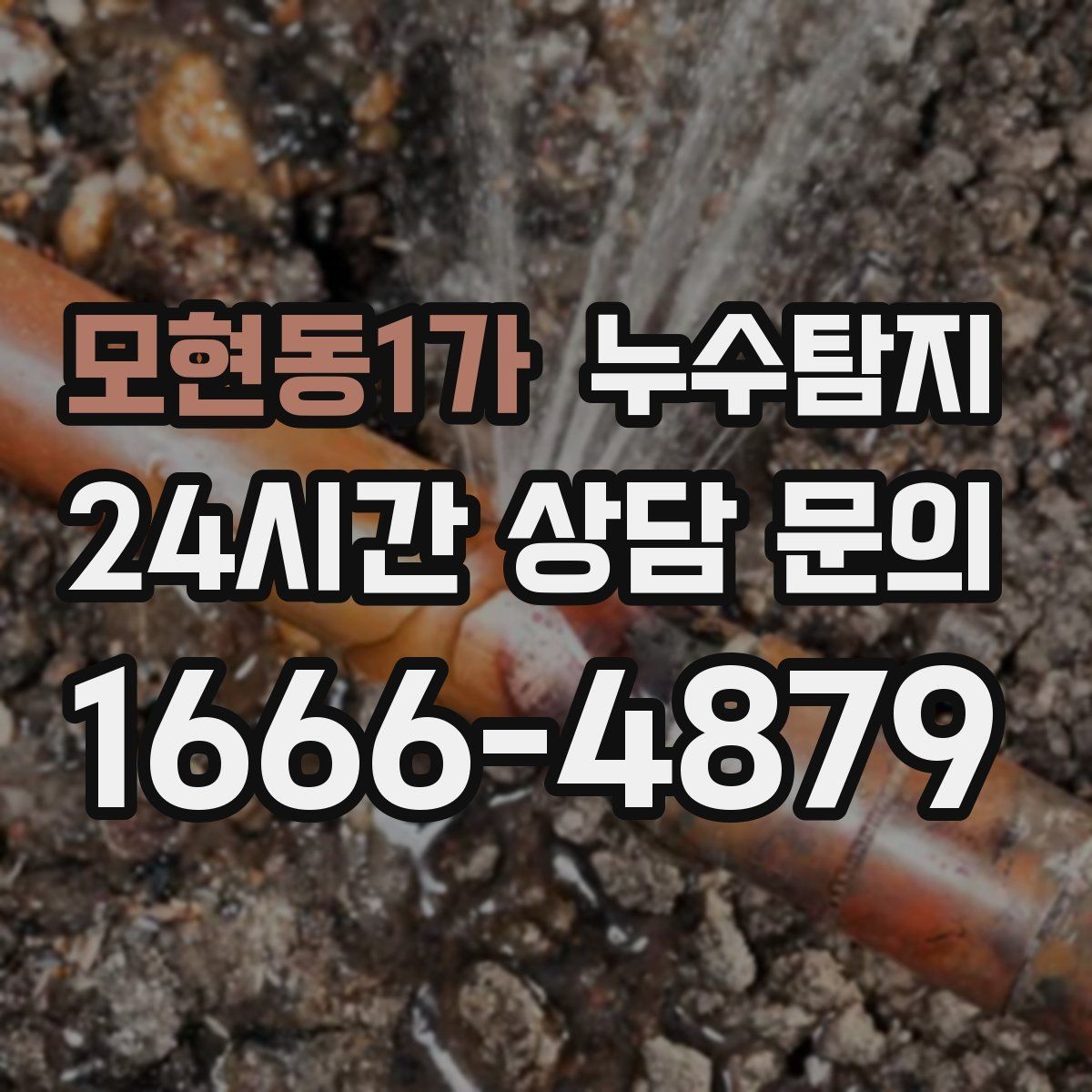 모현동1가 누수탐지 현관 주변 습기 원인 제거 과정