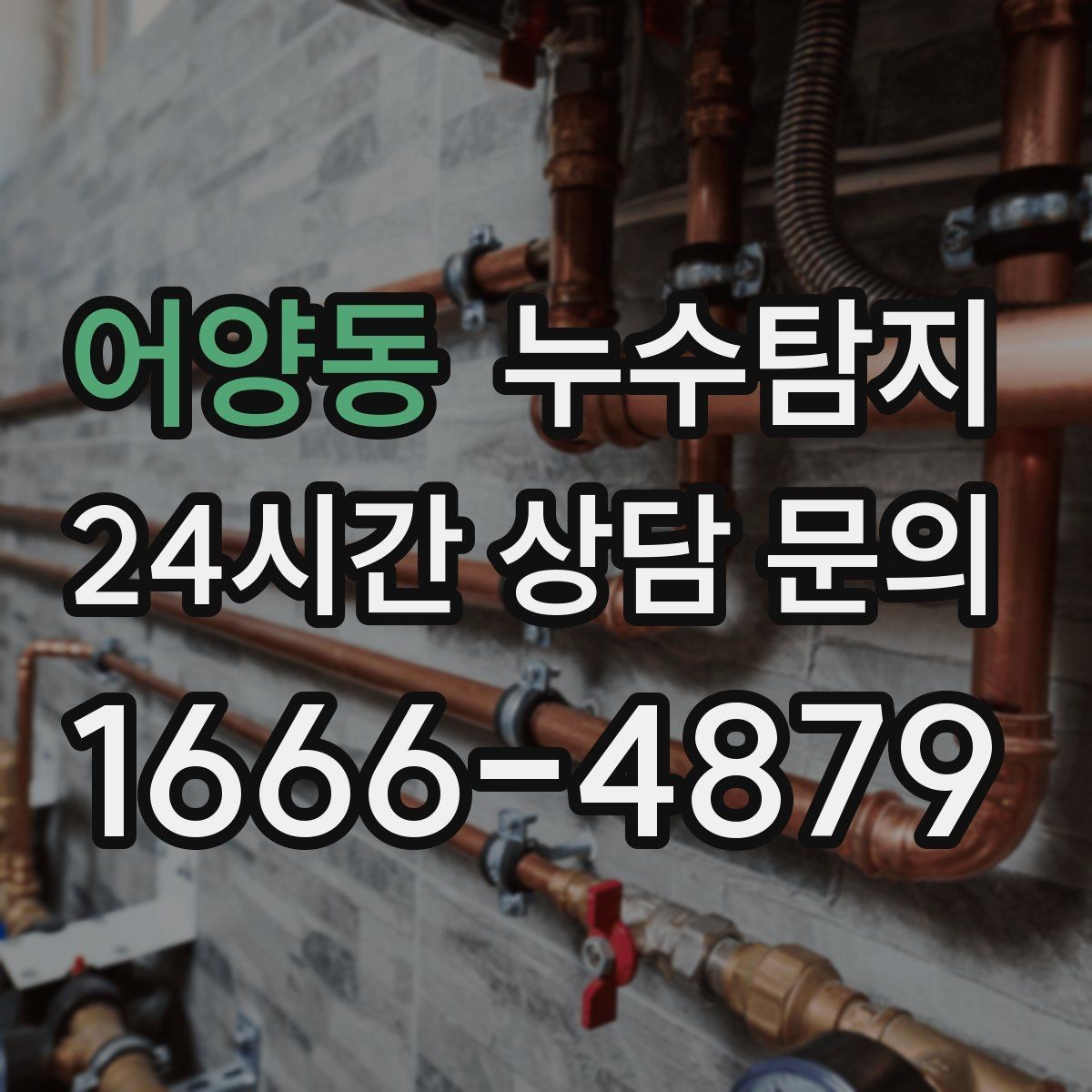 어양동 누수탐지 슬래브 바닥 누수 점검 리얼 후기