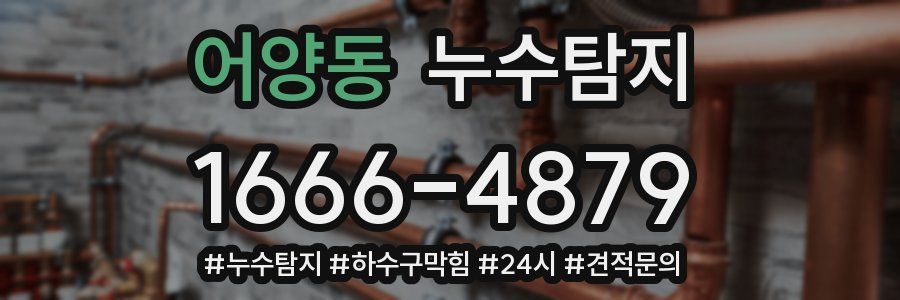 누수닥터 누수탐지