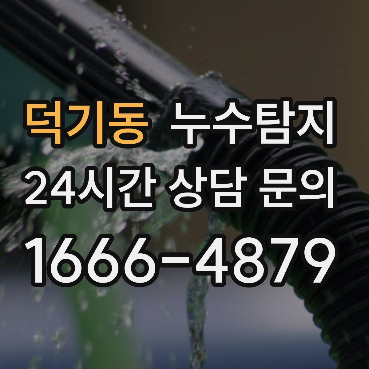 덕기동 누수탐지 새집 곰팡이 원인 차단