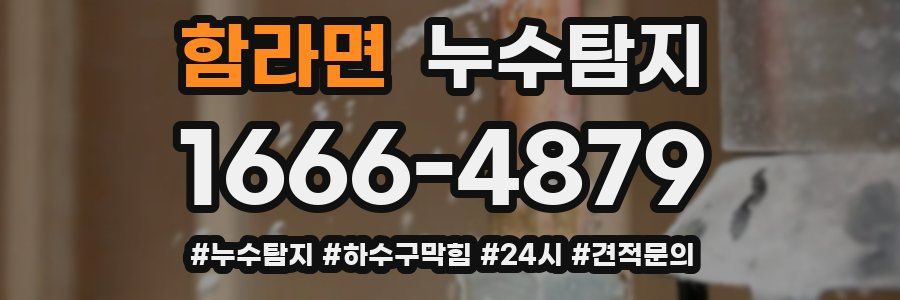 누수닥터 누수탐지