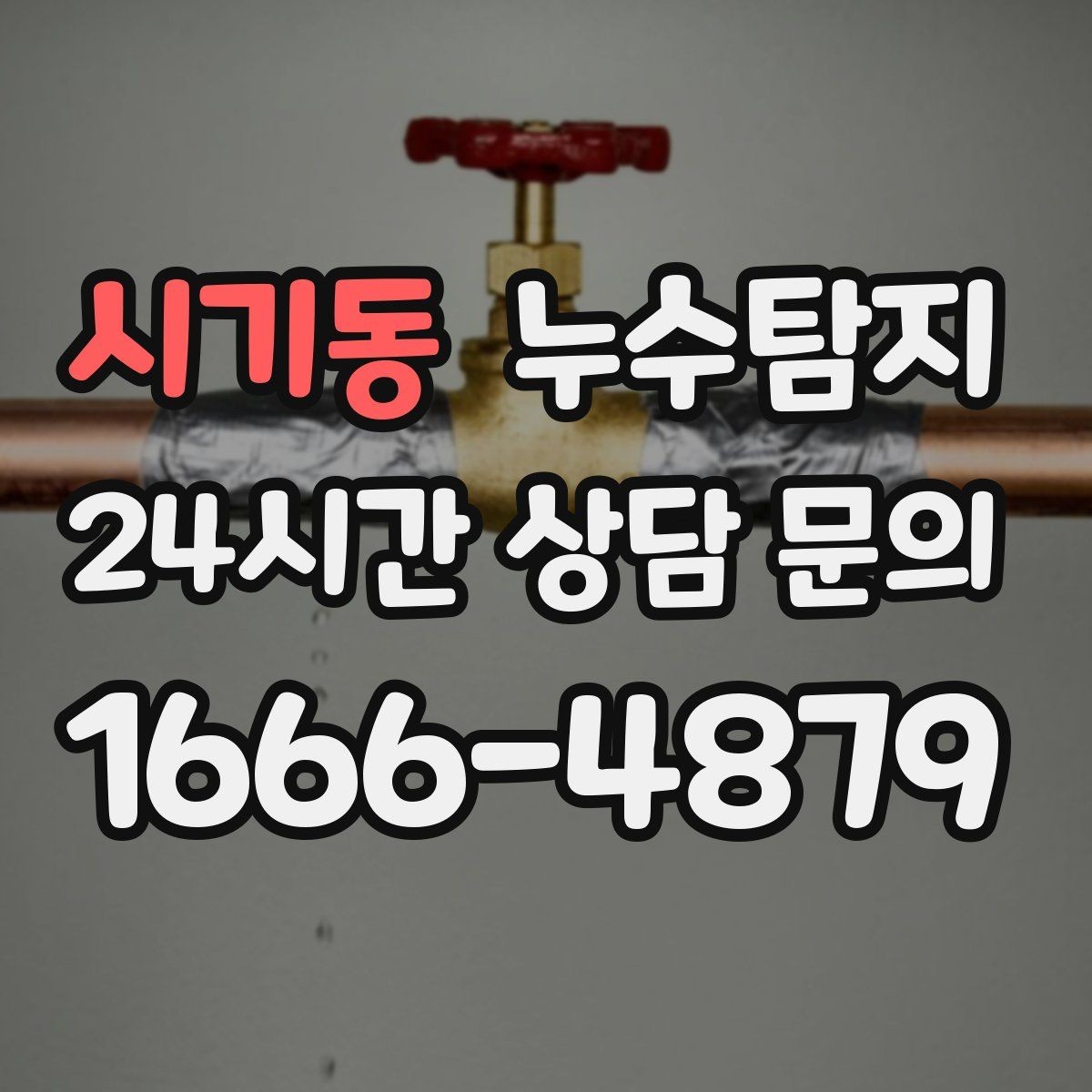 시기동 누수탐지 장판 들뜸 해결까지의 기록