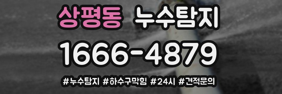 누수닥터 누수탐지