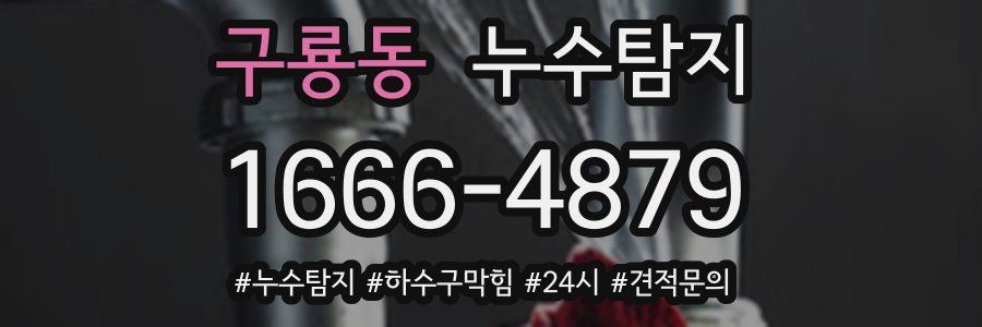 누수닥터 누수탐지