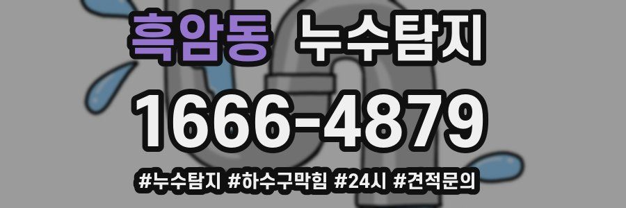 누수닥터 누수탐지