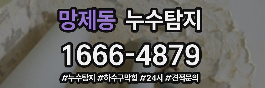 누수닥터 누수탐지