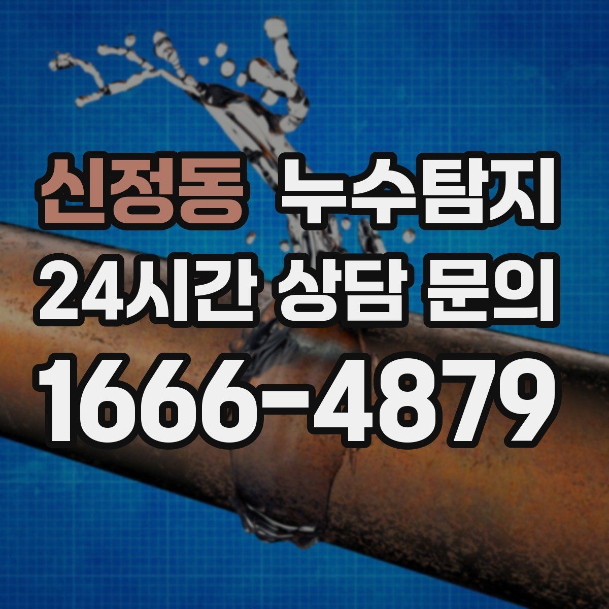 신정동 누수탐지 결로일까 누수일까 구분 가이드