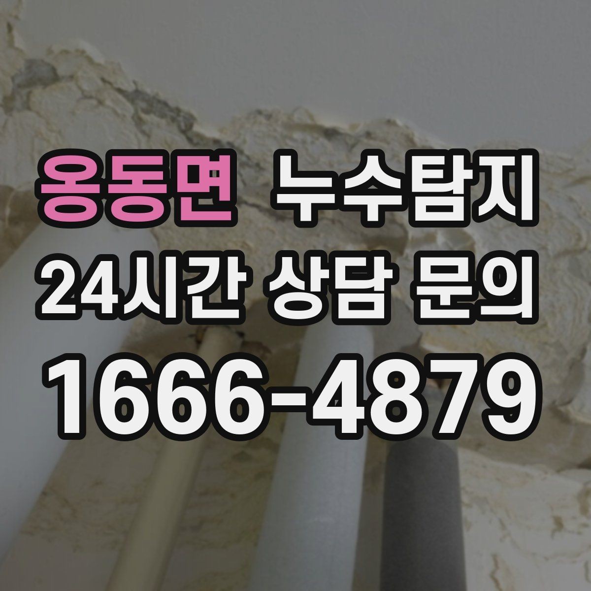 옹동면 누수탐지 천장 석고보드 내부 점검해보니