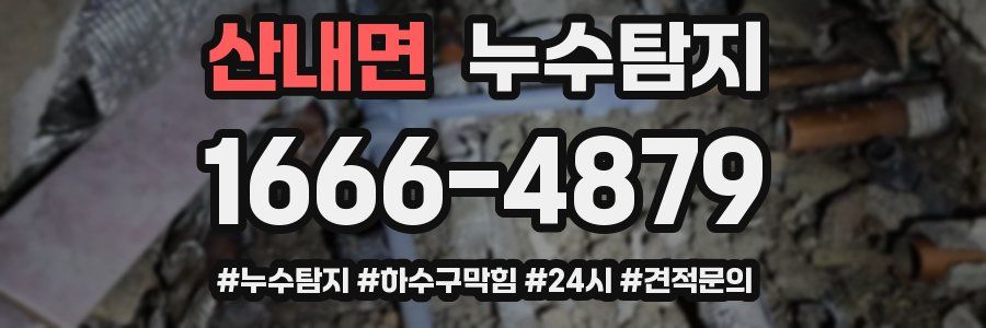누수닥터 누수탐지
