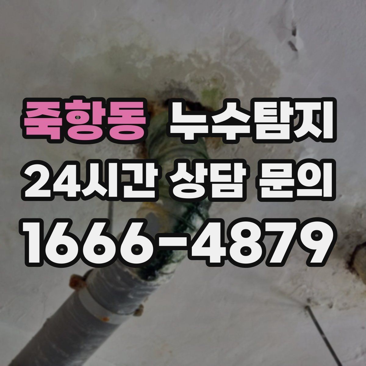 죽항동 누수탐지 청음 검사가 알려준 물길 이야기