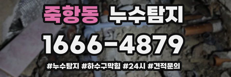 누수닥터 누수탐지