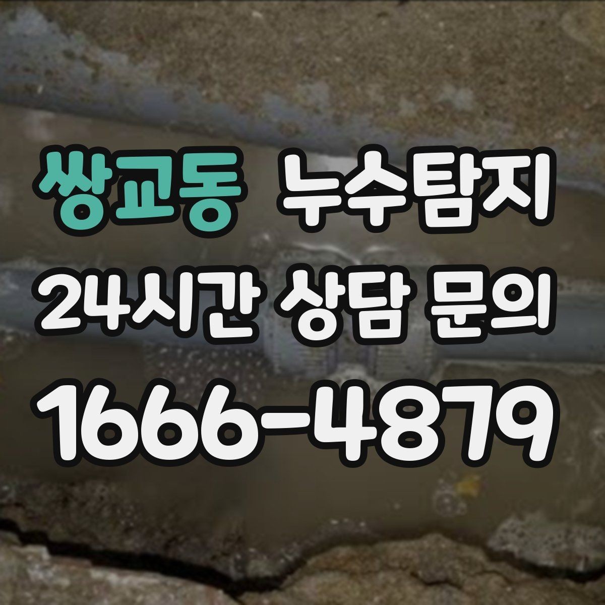 쌍교동 누수탐지 현관 타일 습기 해결 과정