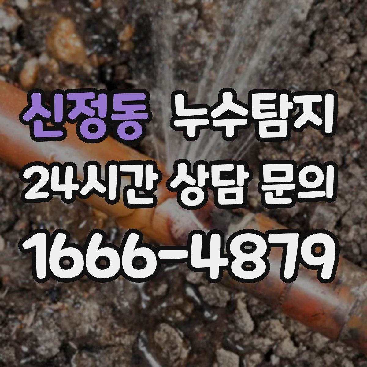 신정동 누수탐지 옥상 지붕 누수 점검