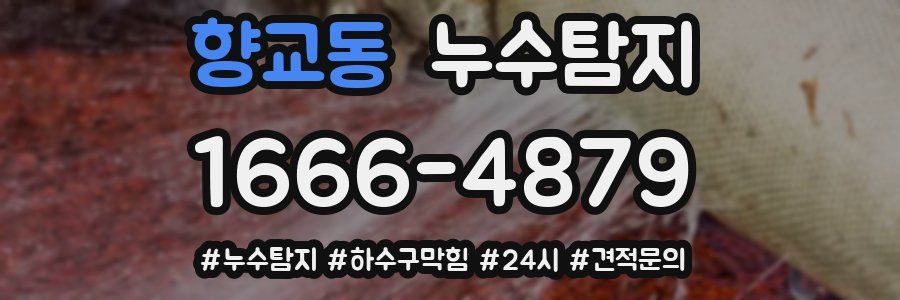 누수닥터 누수탐지