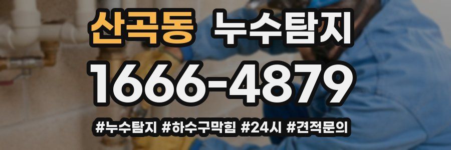 누수닥터 누수탐지
