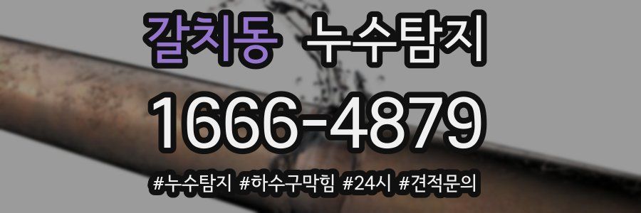 누수닥터 누수탐지