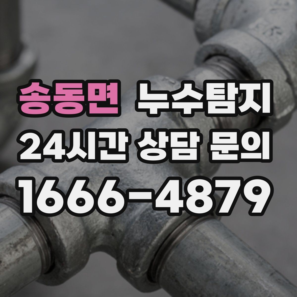 송동면 누수탐지 장비 기반 정확 진단