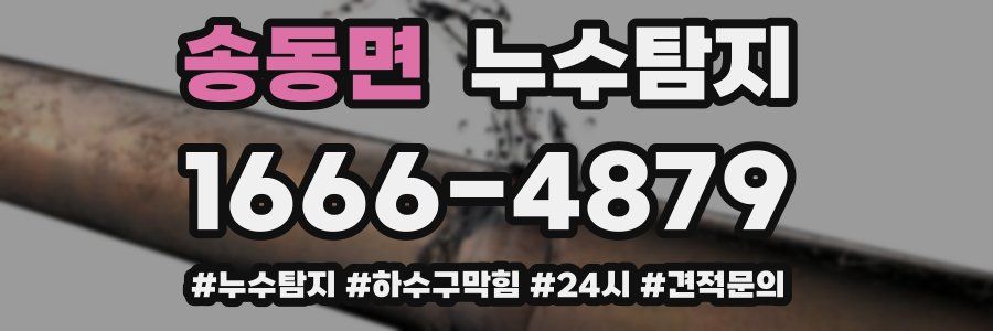 누수닥터 누수탐지
