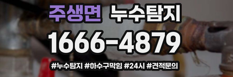 누수닥터 누수탐지