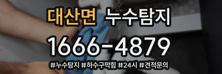 누수닥터 누수탐지