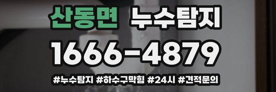 누수닥터 누수탐지