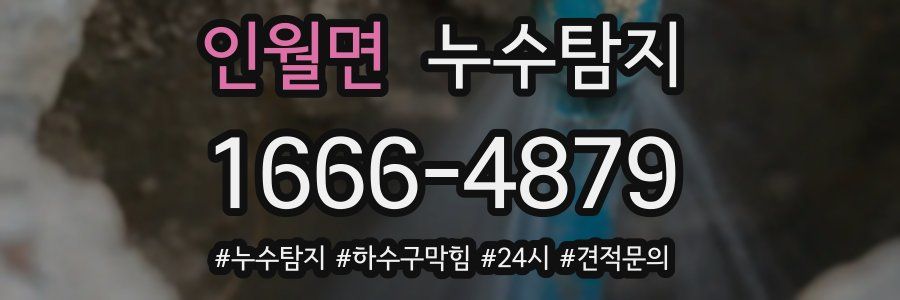 누수닥터 누수탐지