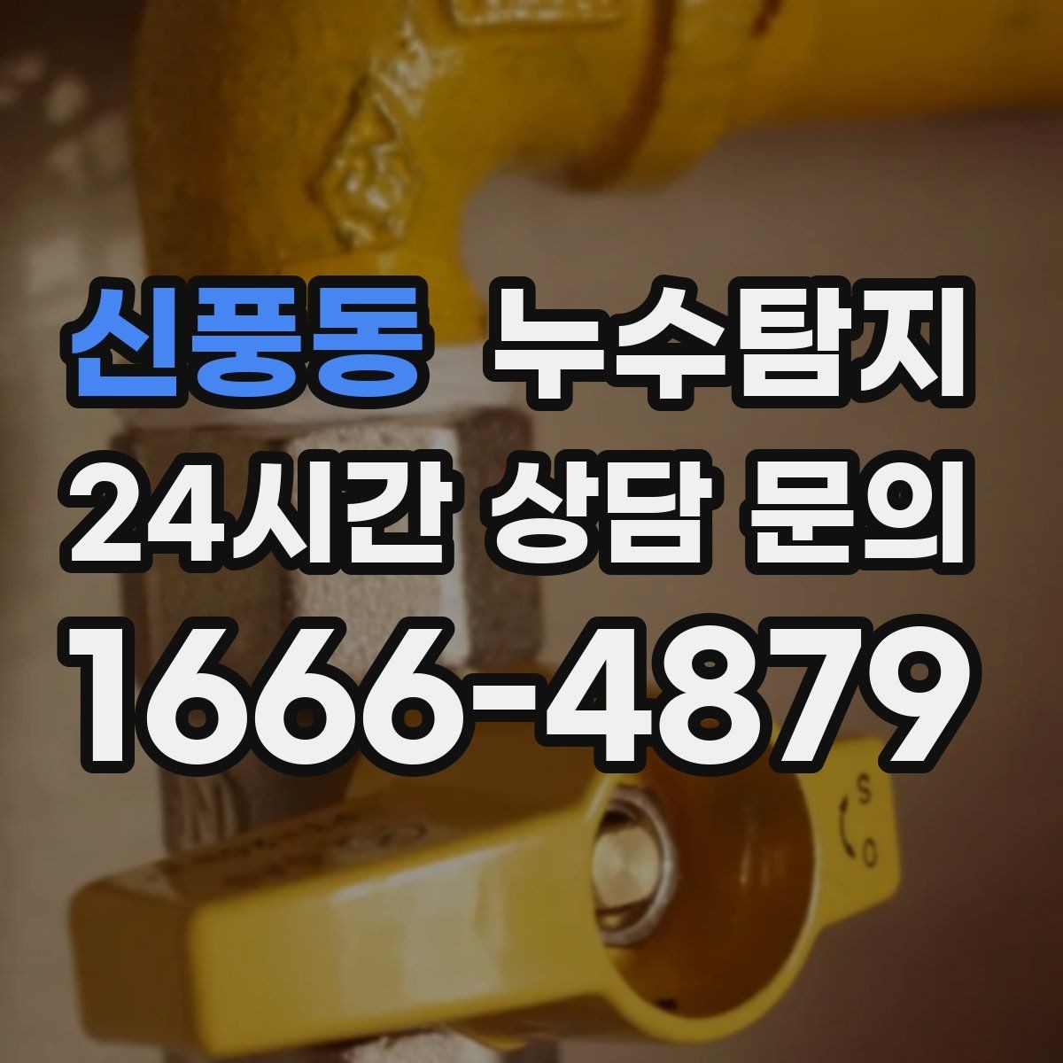 신풍동 누수탐지 작은 물자국으로 시작된 점검기
