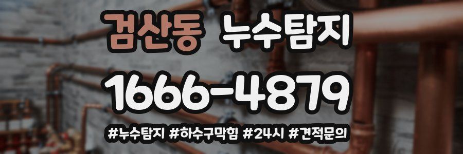 누수닥터 누수탐지