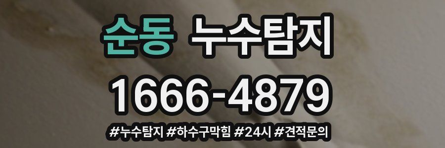 누수닥터 누수탐지
