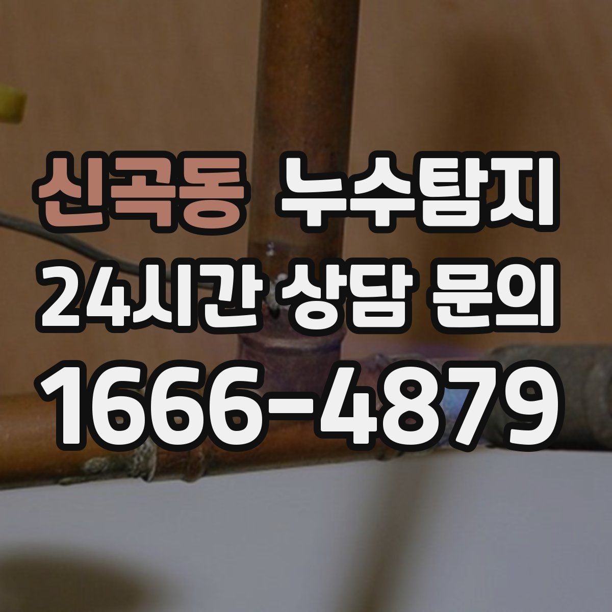 신곡동 누수탐지 현관 바닥 습기 원인 제거