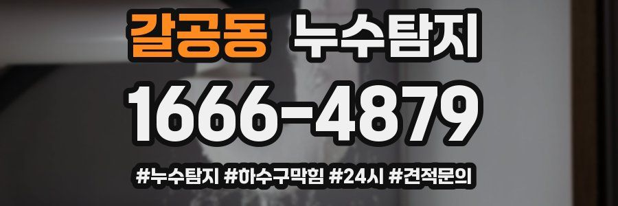 누수닥터 누수탐지