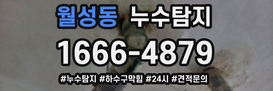 누수닥터 누수탐지