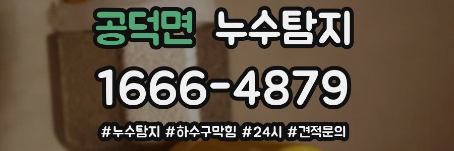 누수닥터 누수탐지