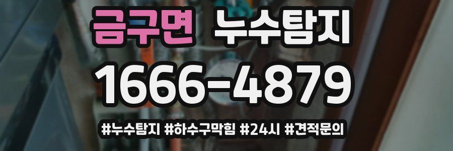 누수닥터 누수탐지