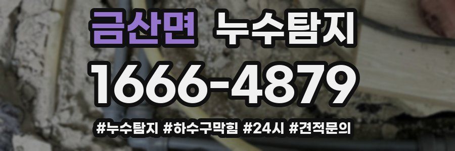 누수닥터 누수탐지