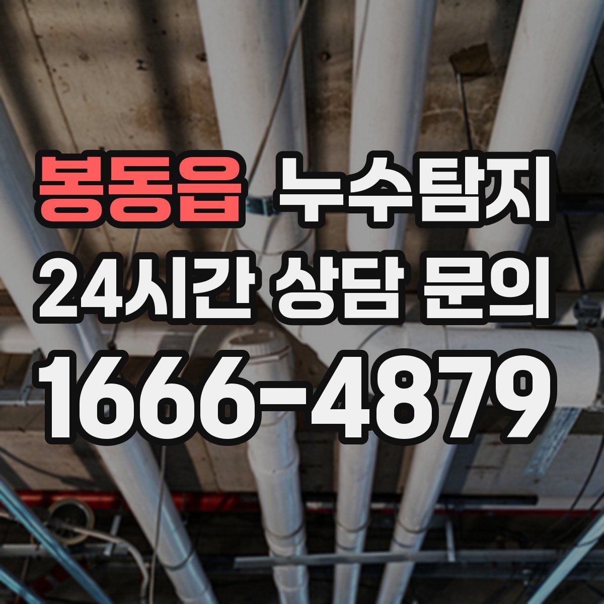 봉동읍 누수탐지 우리 가족을 지킨 빠른 판단