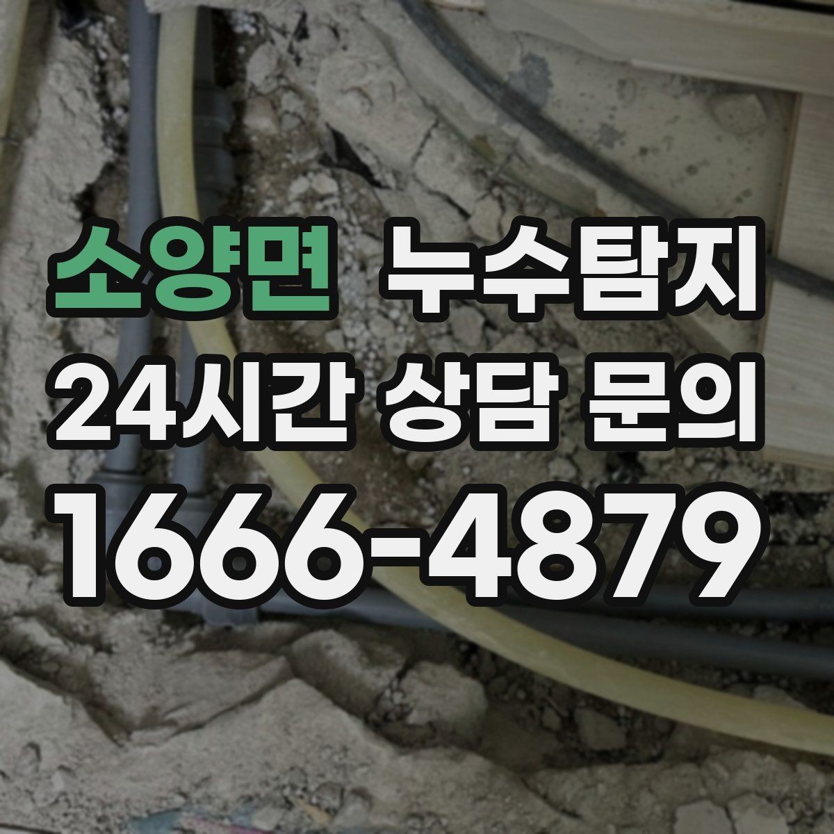 소양면 누수탐지 공용배관 의심되는 부분 찾은 날