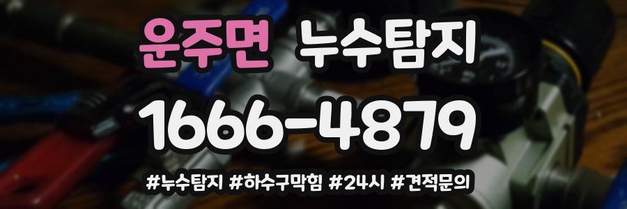 누수닥터 누수탐지